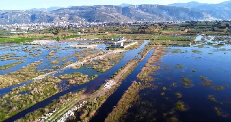 Kuşların Rotasında Bir Hayat Mücadelesi