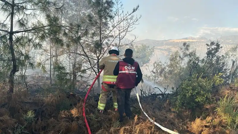 Hatay İskenderun'da Ormanlık Alanda çıkan Yangın Söndürüldü