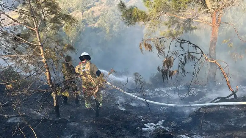 Hatay İskenderun'da Ormanlık Alanda çıkan Yangın Söndürüldü