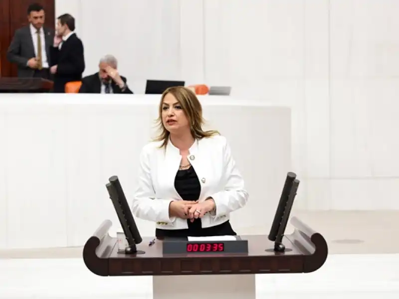 CHP’li Kara’dan Zirai Don Uyarısı: “Çiftçinin Borcu Silinmeli, Üretim Korunmalı”