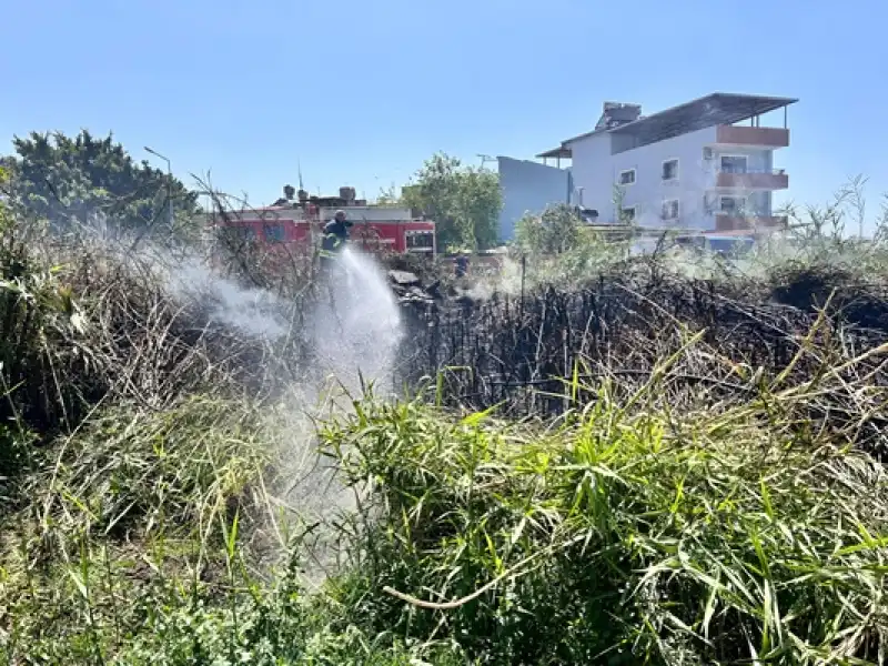 Hatay Arsuz'da Sazlık Alanda çıkan Yangın Söndürüldü