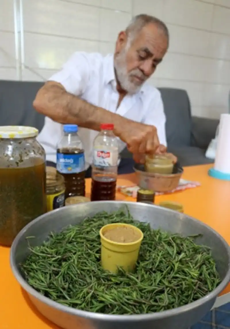 Dağlardan Gelen Şifa;” Zahter Kremi”
