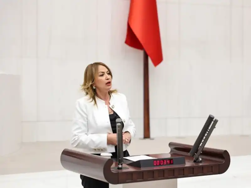 Sağlık Bakanlığı Kaç Diyabet Hastası Olduğunu Bilmiyor