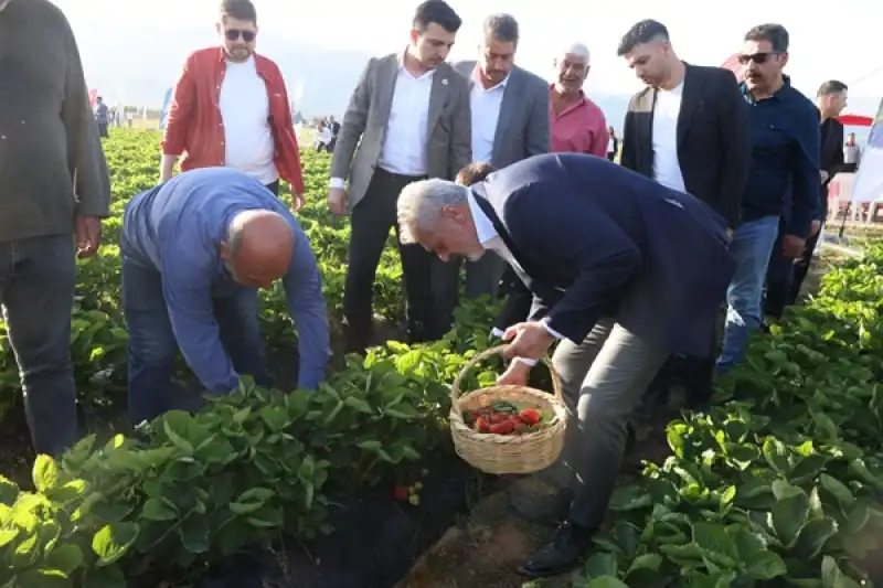 HBB'nin Destekleri Ilk Meyvelerini Verdi