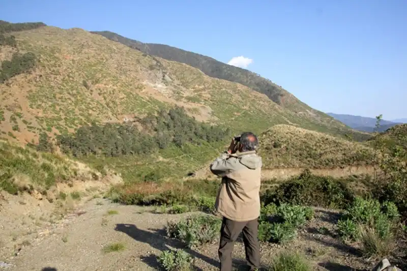 Hatay'da Koruma çalışmaları Yaban Keçisinin Popülasyonunu Artırdı
