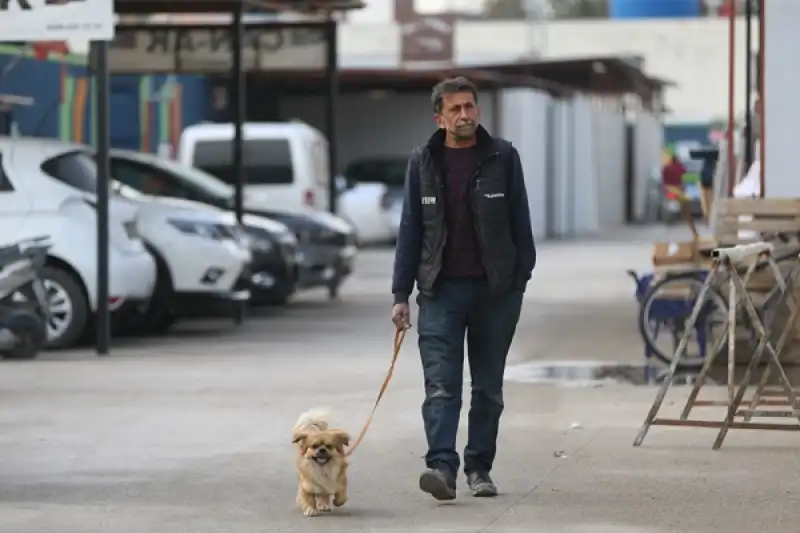 Hataylı Esnaf Deprem Sırasında Uyanmasını Sağlayan Köpeğini Yanından Ayırmıyor