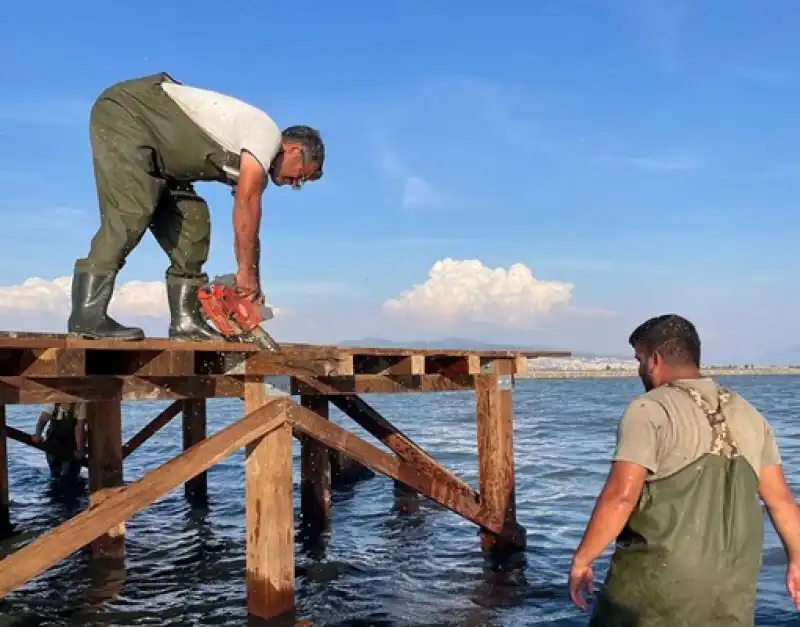 Pelikanların Üreme Çift Sayısında Ciddi Düşüş!