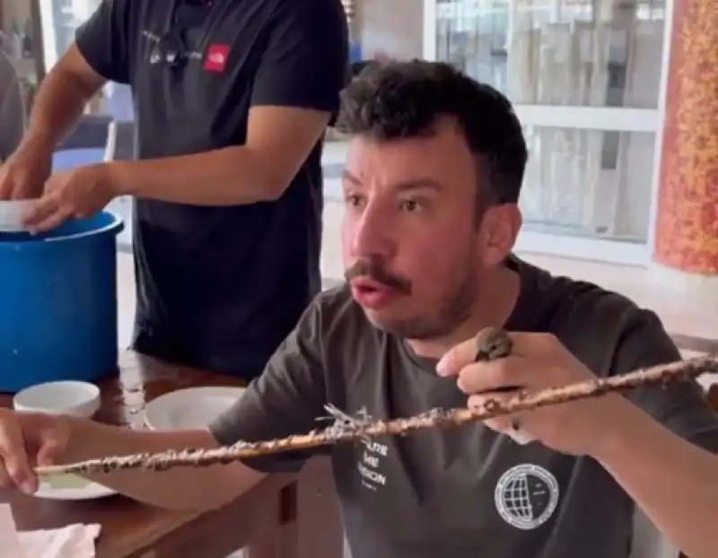 Dallara Yapışkan Sürerek Kuş Avlamaya Çalıştılar!
