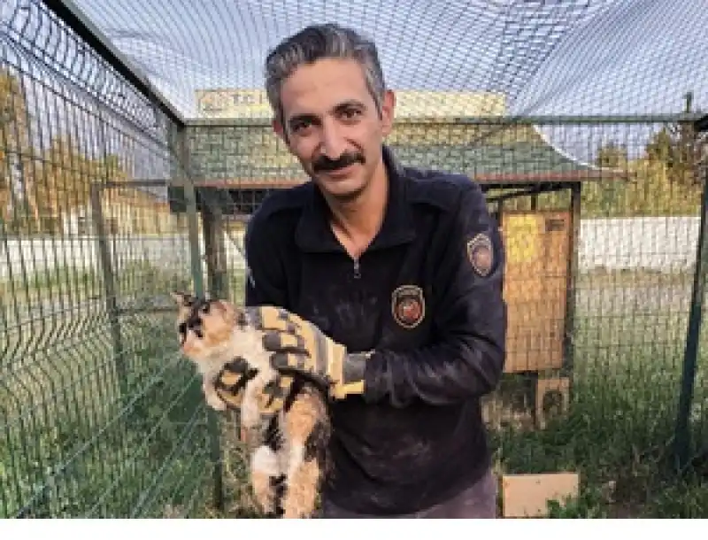 Hatay'da Bina Boşluğuna Düşen Kediyi Itfaiye Ekipleri Kurtardı