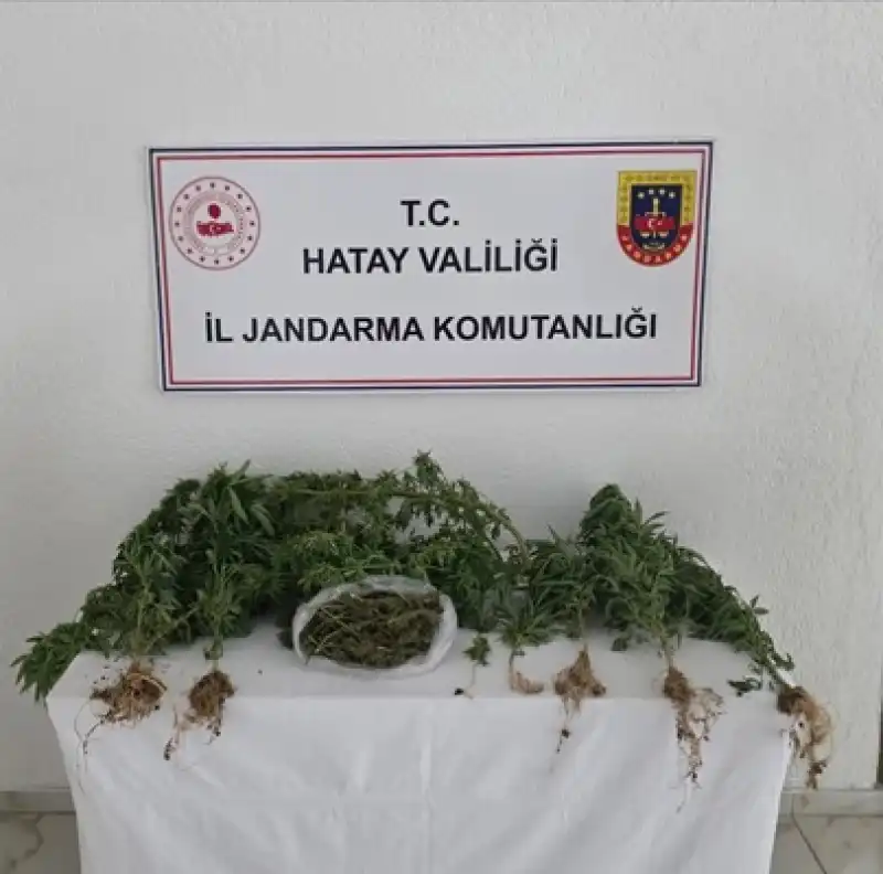 Hatay'da Uyuşturucu Ve Kaçakçılık Operasyonlarında 67 şüpheli Yakalandı