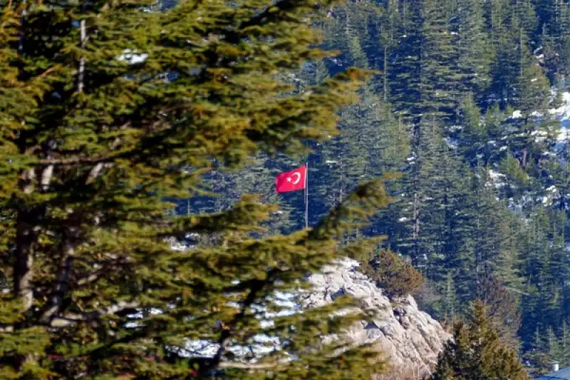 Türkiye ‘de Eş Zamanlı Orman Temizliği İçin Geri Sayım Başladı