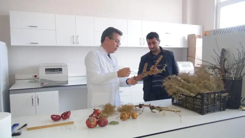 Bitki Koruma Ürünleri Denemeleri Artık MKÜ’de Yapılabilecek