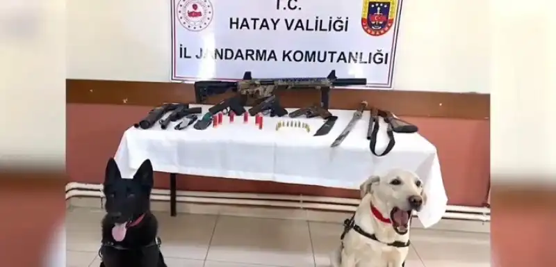 Sosyal Medya Hesaplarında Silah Paylaşımı Yapanlara Operasyon!