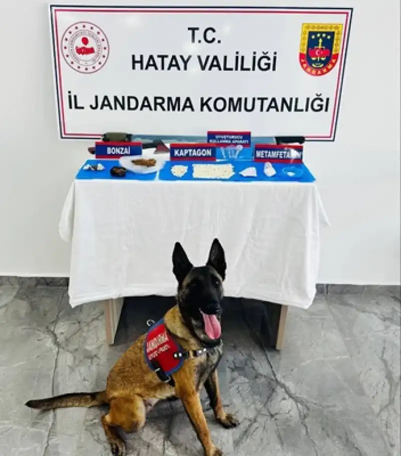 Jandarmadan Uyuşturucu Operasyonu: Çok Sayıda Uyuşturucu Ele Geçirildi