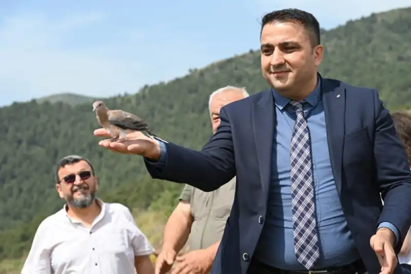 MKÜ’de Tedavileri Tamamlanan Yabani Kuşlar Doğaya Bırakıldı