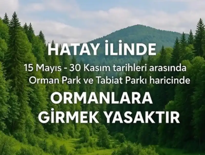 Dikkat! Hatay’da Ormanlara Girişler Yasaklandı