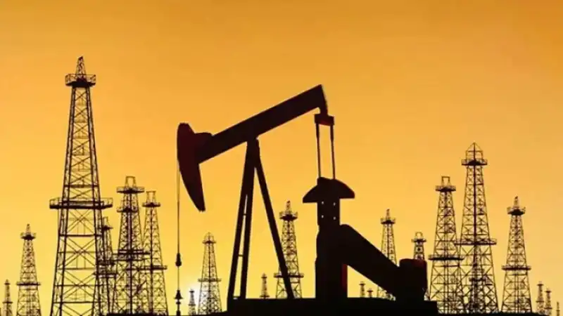 Hatay Da Petrol Sontajı Yapılacak