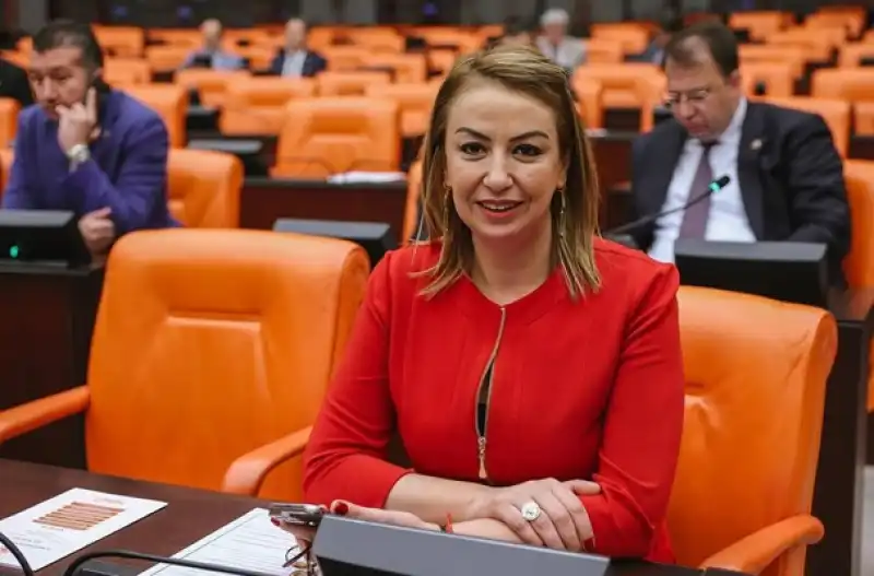 Nermin Yıldırım Kara, TBMM Kâtip Üyeliğine Seçildi