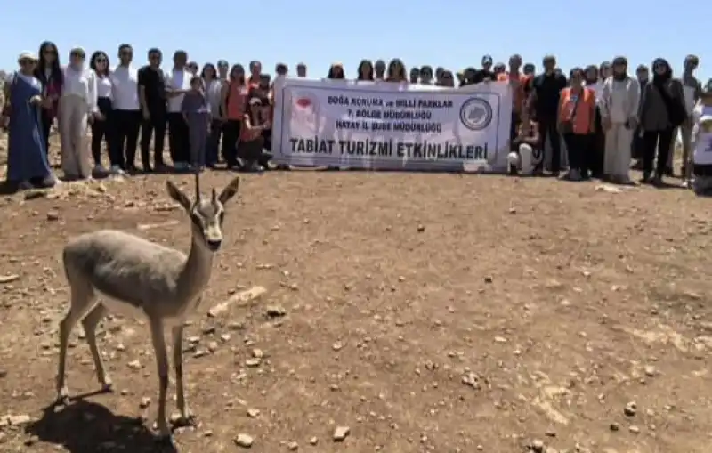TEMA Vakfı Gönüllülerinden Gölbaşı Gölü Ve Dağ Ceylanlarına Ziyaret