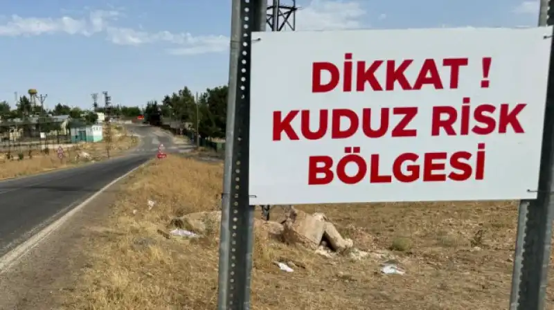 Samandağ’da Kuduz Alarmı: 4 Mahalle Karantinaya Alındı