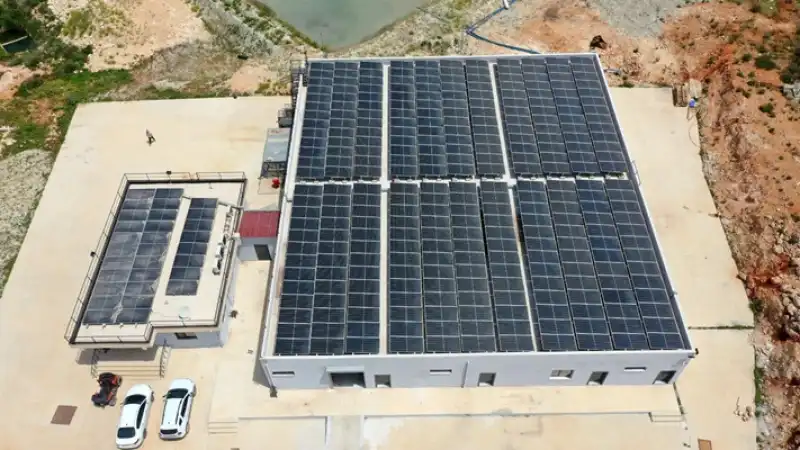 Hatay'da Devlet Desteğiyle Kurulan Tesiste Ilk Sazan Yavruları üretildi
