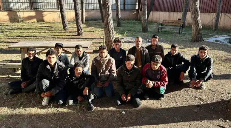 Hatay'da 65 Kaçak Göçmen Yakalandı!