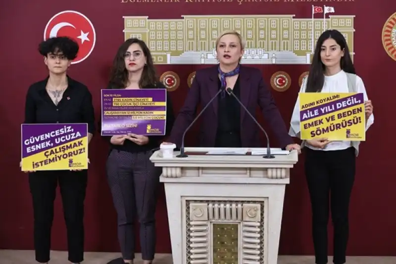 Mor Dayanışmadan TBMM’de Aile Yılı Değil, Beden Ve Emek Sömürüsü