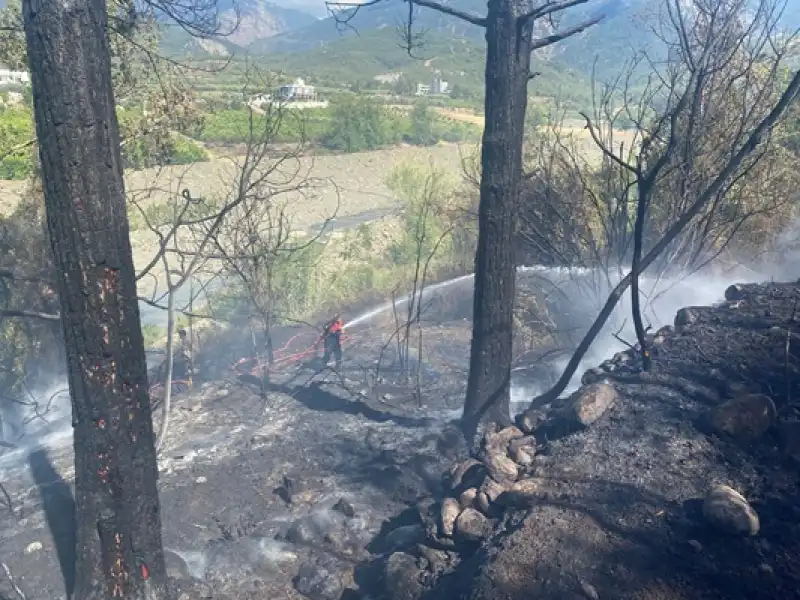 Hatay Arsuz'da Ormanlık Alanda çıkan Yangın Söndürüldü