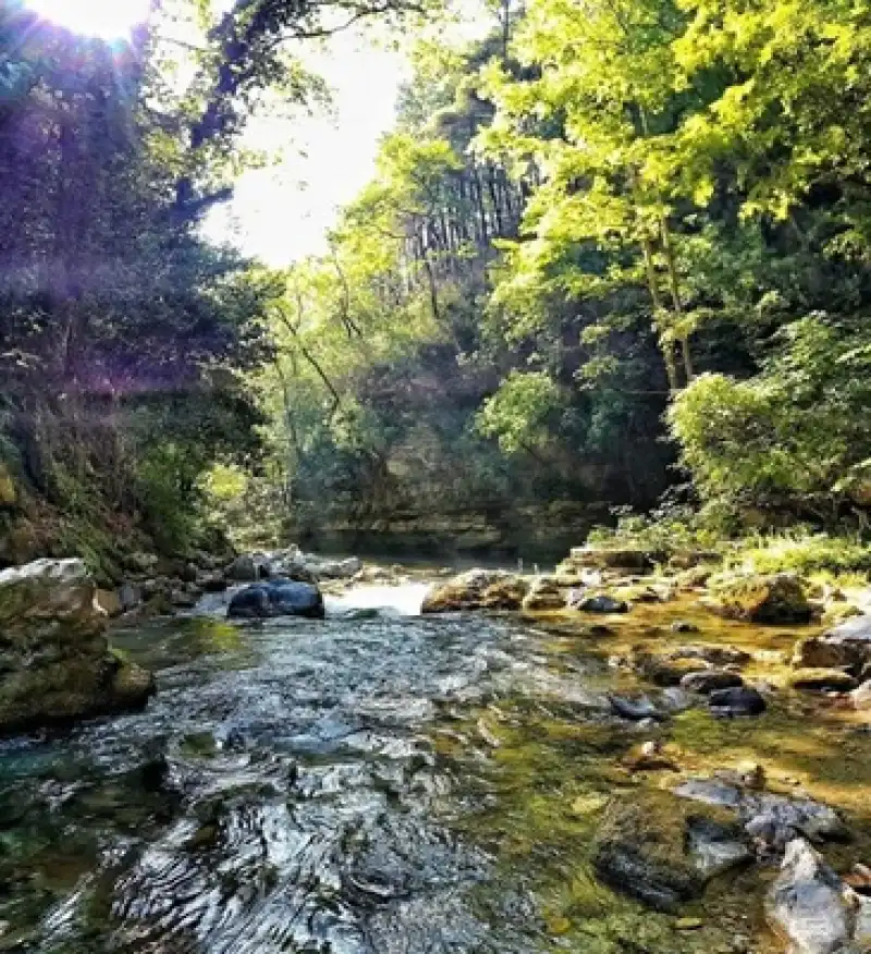 Geçilmez Kanyonu: Dörtyol’da Doğanın Kalbine Yolculuk Rotanızı Doğaya Çevirin!