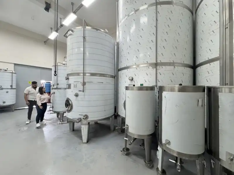 Kadın Mühendis Eşinin Memleketinde Devlet Desteğiyle Fabrika Kurdu
