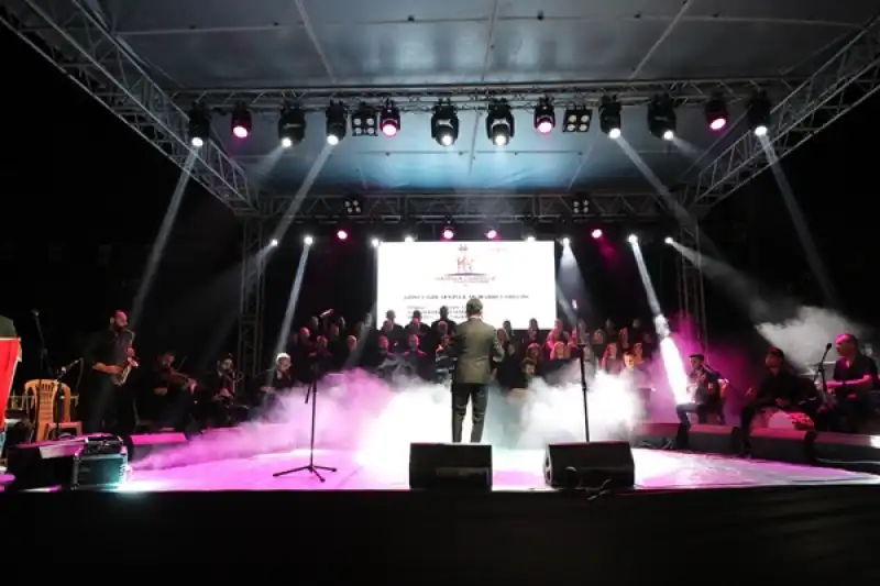 Gazella Gazella Korosu Yayladağı’nda