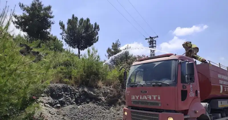 Hatay İskenderun'da Ormanlık Alanda çıkan Yangın Söndürüldü