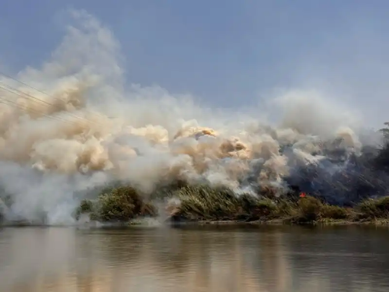 Hatay'da Asi Nehri'nin Kenarındaki Alanda çıkan Yangın Kontrol Altına Alındı
