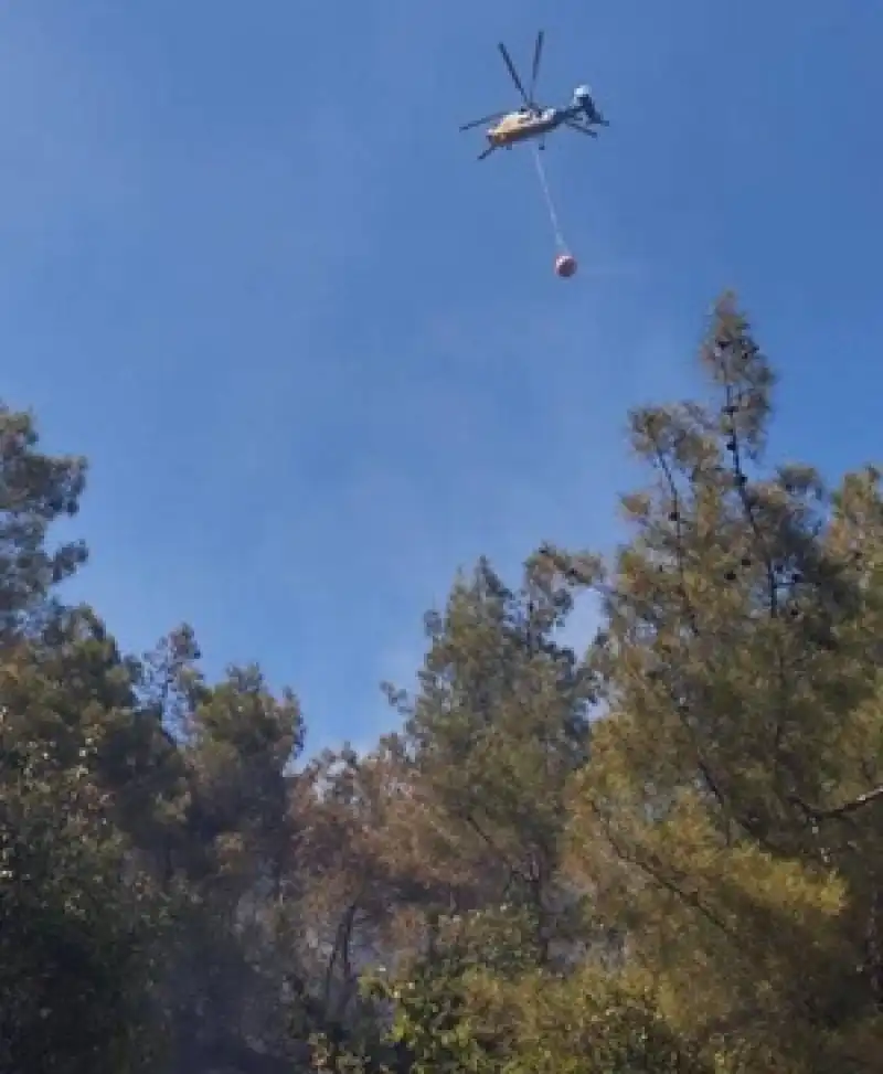 Hatay'ın Hassa İlçesinde Orman Yangını Kontrol Altına Alındı