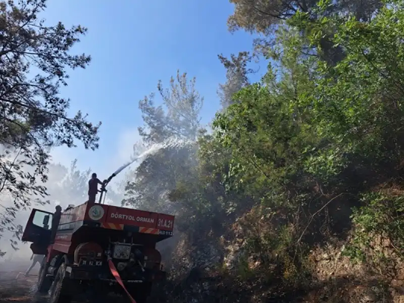 Hatay Dörtyol'da çıkan Orman Yangını Kontrol Altına Alındı