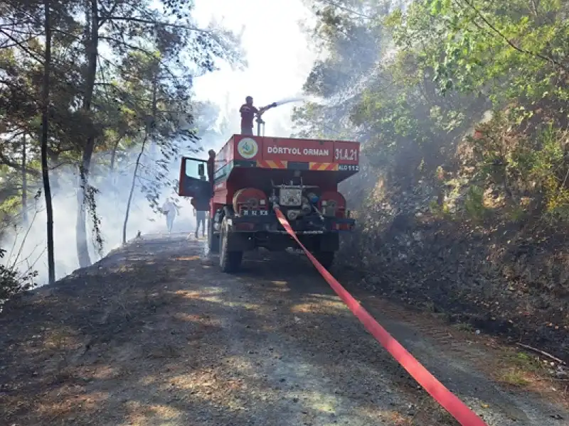 Hatay Dörtyol'da çıkan Orman Yangını Kontrol Altına Alındı