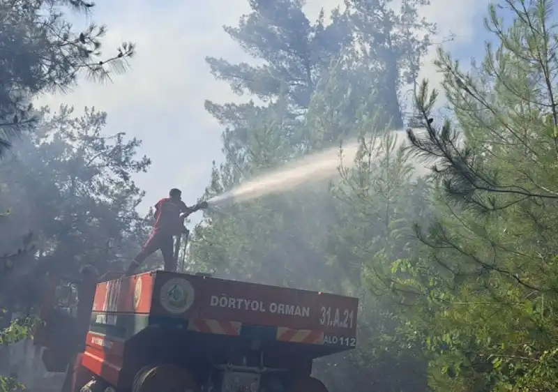 Hatay Dörtyol'da çıkan Orman Yangını Kontrol Altına Alındı
