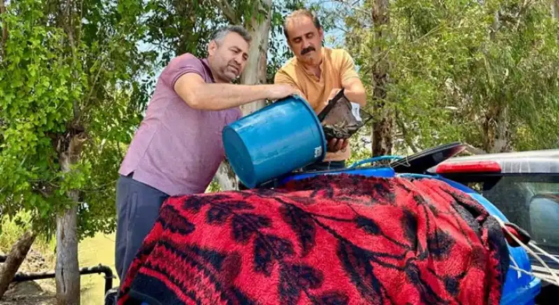 Hatay’da Göletler Balıklandı!