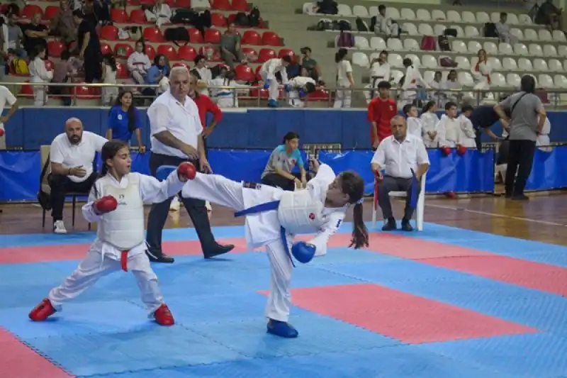 İskenderun'da Karate Turnuvası Düzenlendi