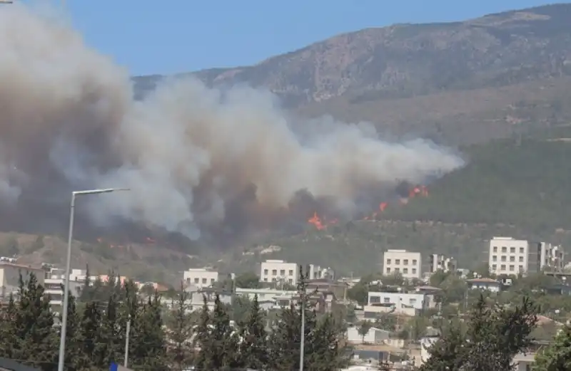 Hatay Antakya Karaali Mahallesi’nde Ormanlık Alanda Yangın çıktı