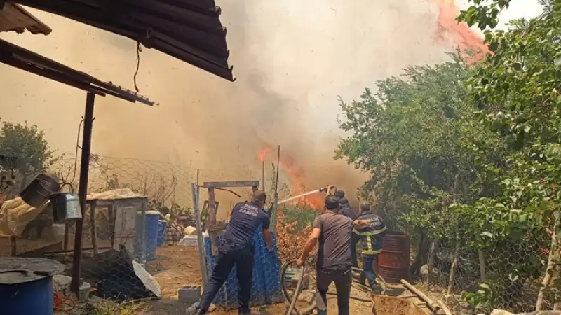 Antakya’daki Orman Yangınına İlişkin Soruşturma Başlatıldı