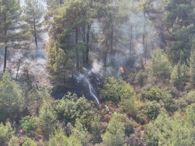 Hatay'da Devam Eden Orman Yangınında Zarar Gören Alanlar Havadan Görüntülendi