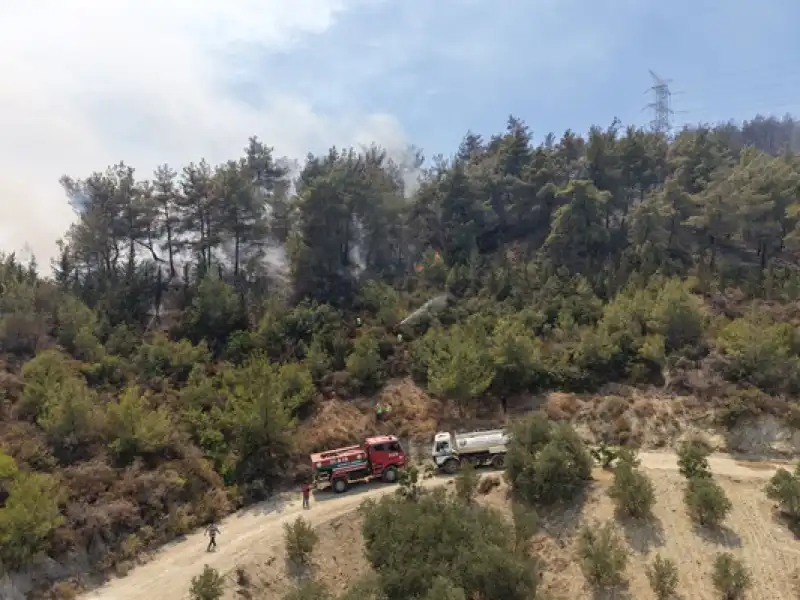 Hatay'da Devam Eden Orman Yangınında Zarar Gören Alanlar Havadan Görüntülendi