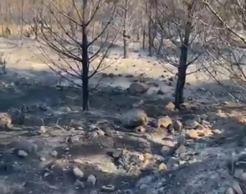 Yangın Sonrası Görüntü İçler Acısı!