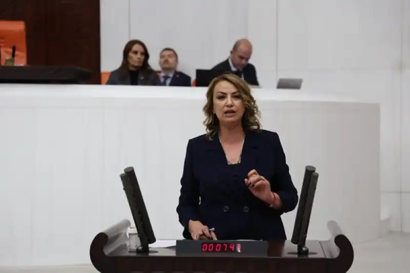 Yıldırım Kara: Gerekli önlemler Alınmazsa Her Yangında Aynı Konuşmaları Dinleriz