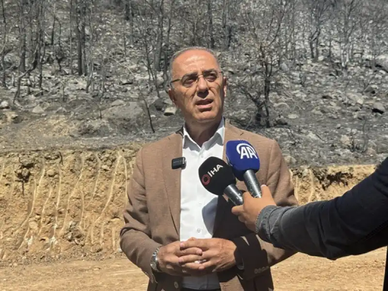 Hatay'daki Orman Yangınında çiftçiler Ahırlarını, Oteller Odalarını Afetzedelere Açtı