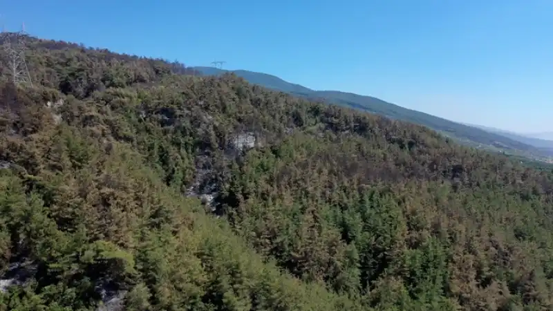 Alev Savaşçılarının Hatay'daki Zorlu Mesaisi Aralıksız Sürüyor