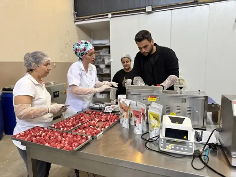 Depremzede Kadın Girişimci Kuruttuğu Meyve Ve Sebzelerle Ihracata Açıldı 