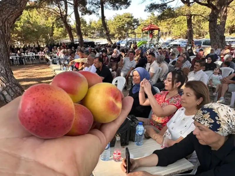 Kozaklı, İlk Kayısı Festivaliyle Şenlendi