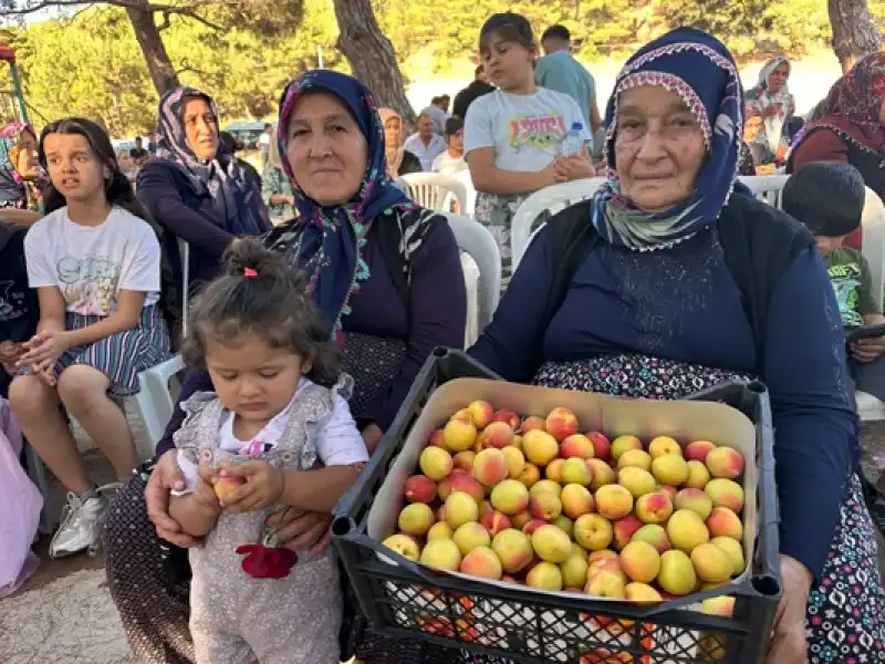 Kozaklı, İlk Kayısı Festivaliyle Şenlendi